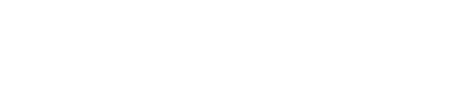 STALZONE logo