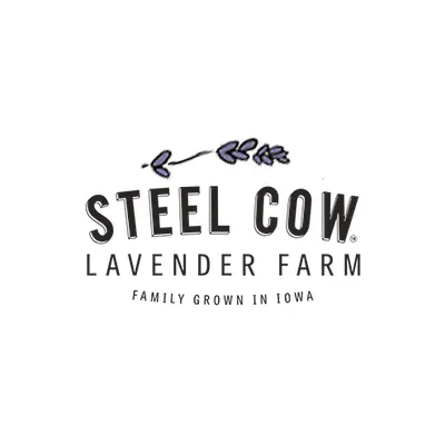 Steelcowlavenderfarm