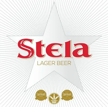 Stefani & Co Logo