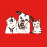 Stellaandchewys logo