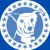 Stella Blue logo