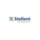 Stellent It Llc logo
