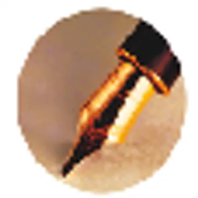 Braun & Braun Steuerberatungsgesellschaft