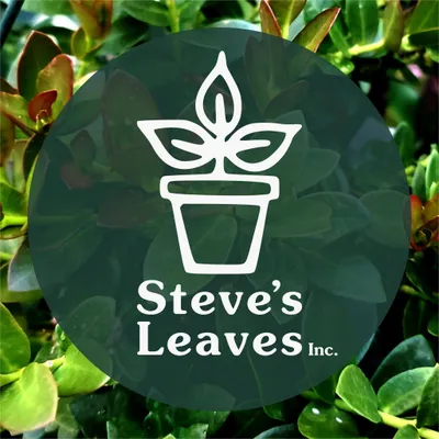 Steves Leaves logo