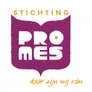 Logo Promes