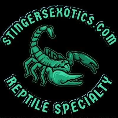 Stingers Reptile Specialty