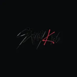 Stray Kids Merch