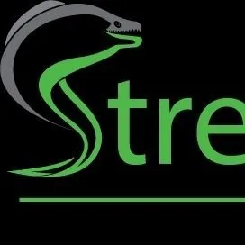 Streamlinediving