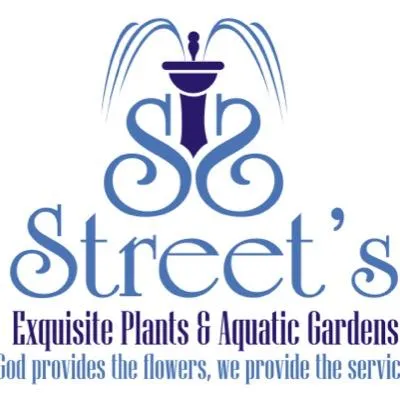 Streetsoffairhope