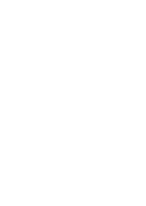 Strutt USA light logo