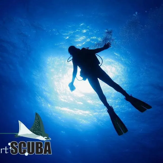 Stuartscuba