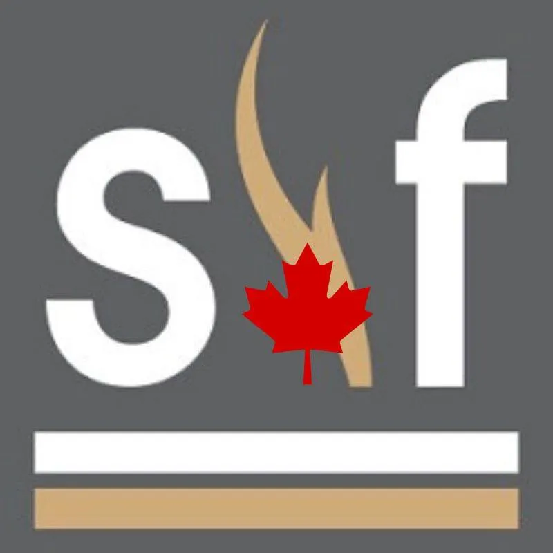 Stylishfireplaces