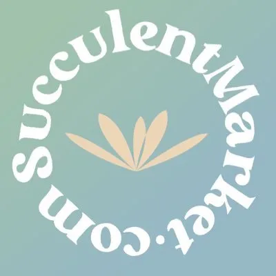 Succulentmarket