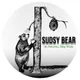 SUDSY BEAR SOAP COMPANY