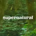 Supernatural Home logo