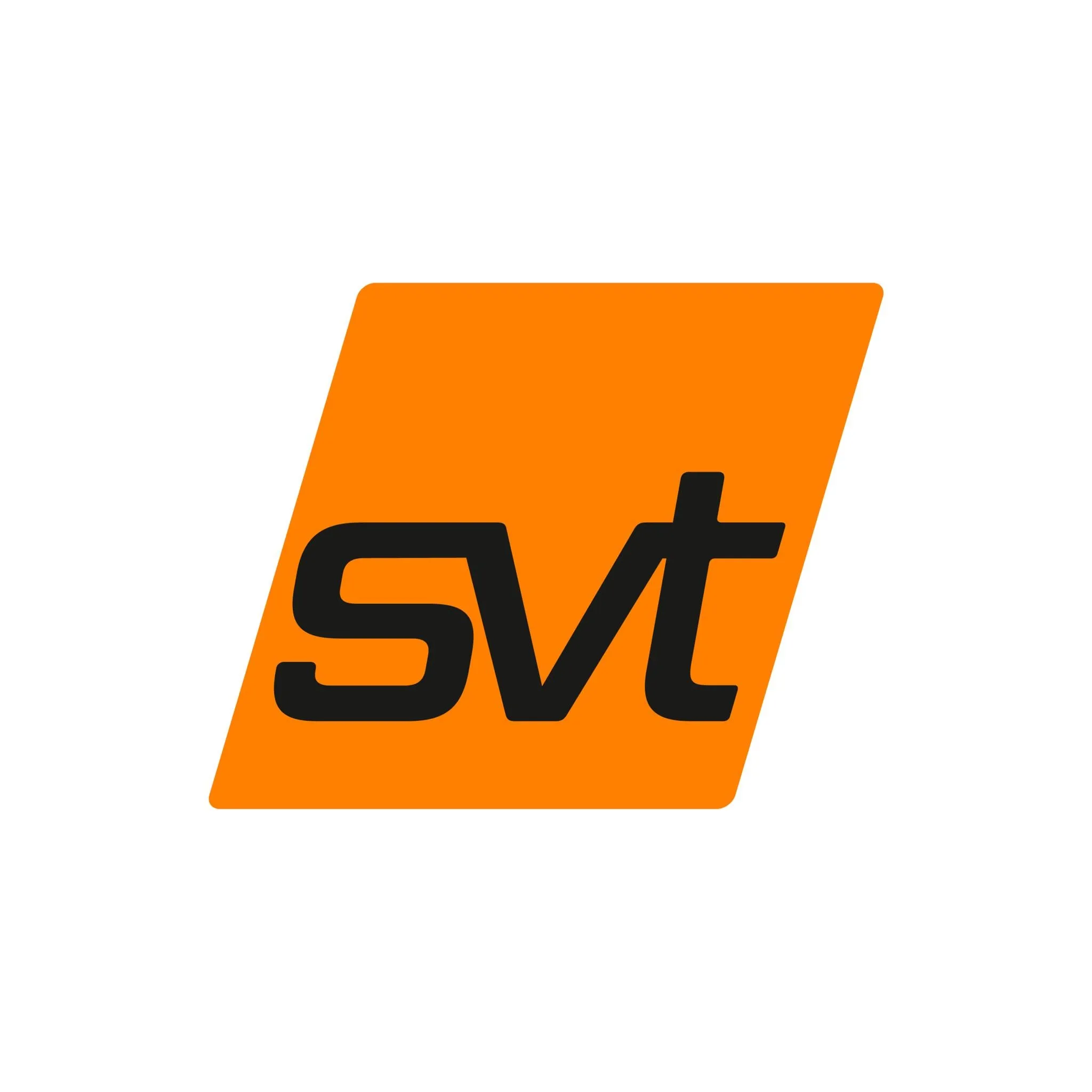 svt Schadensanierung GmbH logo
