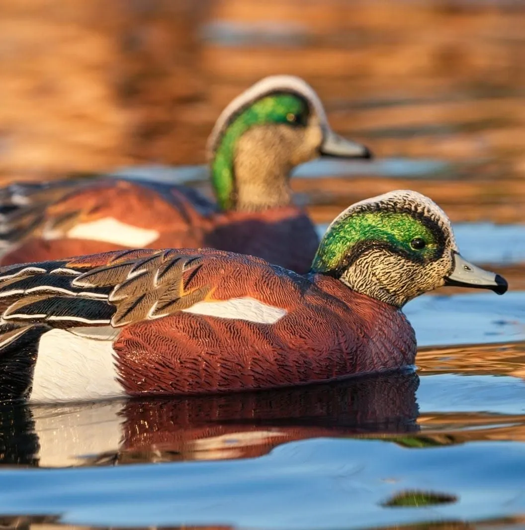 Sxdecoys