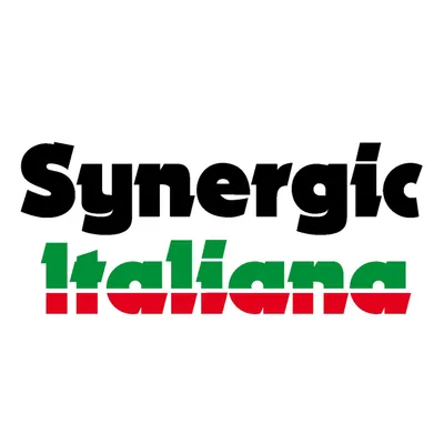 SYNERGIC ITALIANA S.R.L.