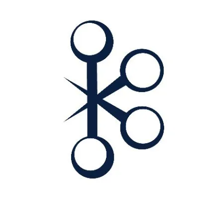 Synergy Investments logo