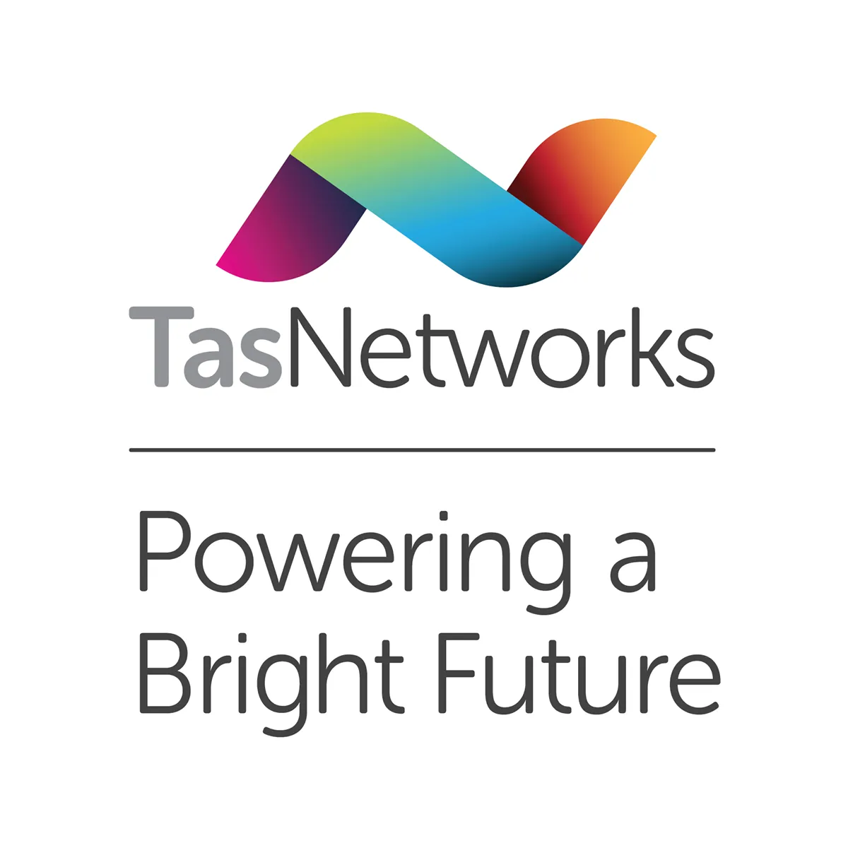 Tas Networks Logo