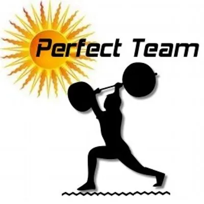 Perfect Team logo