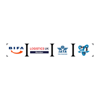 Team Global logo