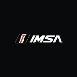 teamimsa.com logo