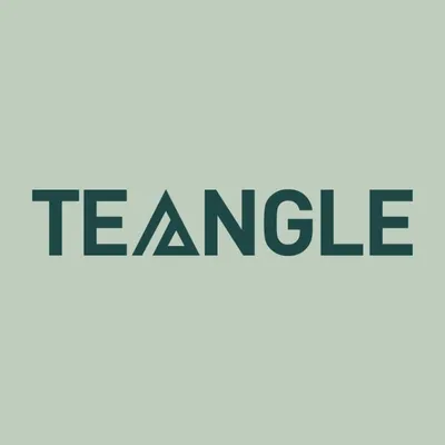 Teangle logo