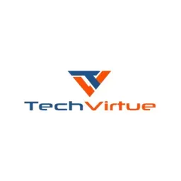 TechVirtue LLC logo