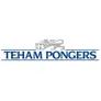 Logo Teham Pongers