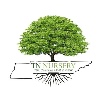 Tennessee Wholesale Nursery logo