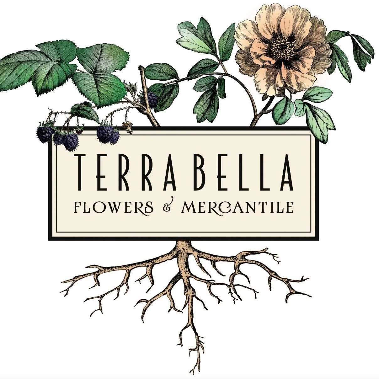Terrabellaflowers