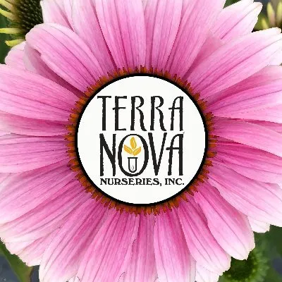 Terranovanurseries