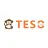 Teso Life logo