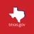 State Of Texas logo