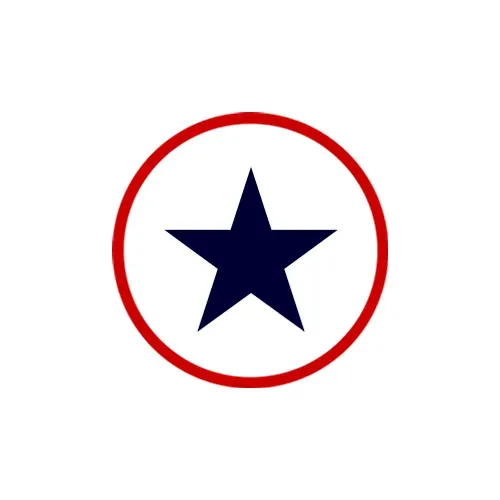 Texas Capital Securities logo