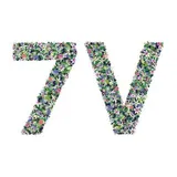 The 7 Virtues logo