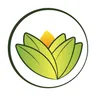 The Ayurveda Experience logo
