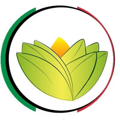 The Ayurveda Experience IT logo