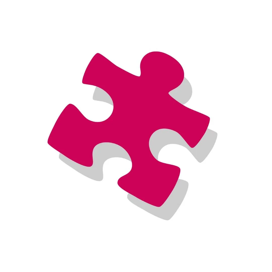 The Best Connection logo