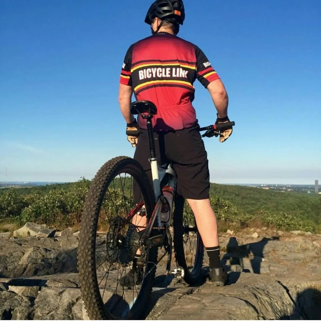The Bicycle Link
