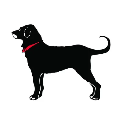 The Black Dog logo