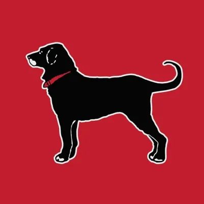 The Black Dog