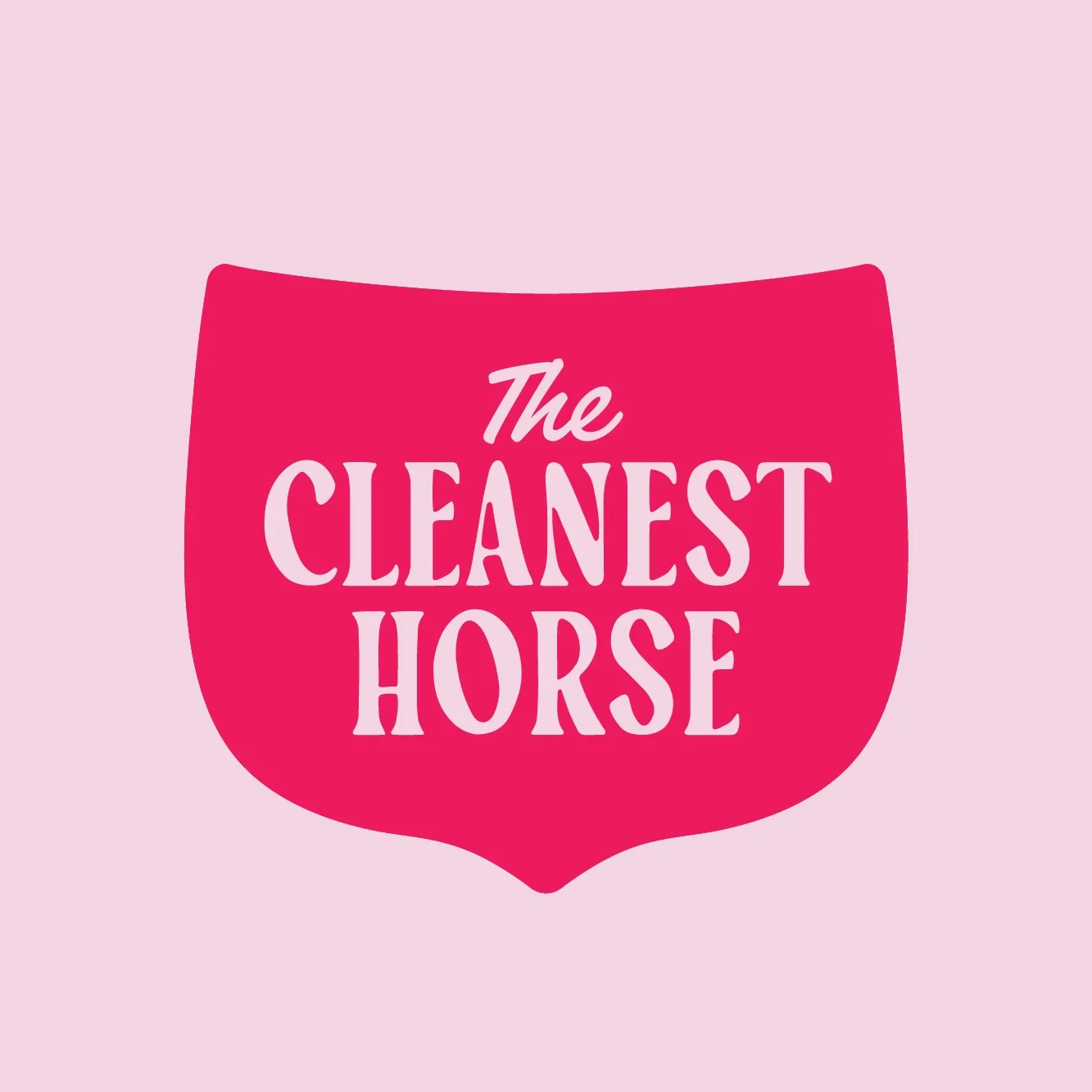 Thecleanesthorse
