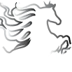 The Connected Rider San Antonio English Tack Store