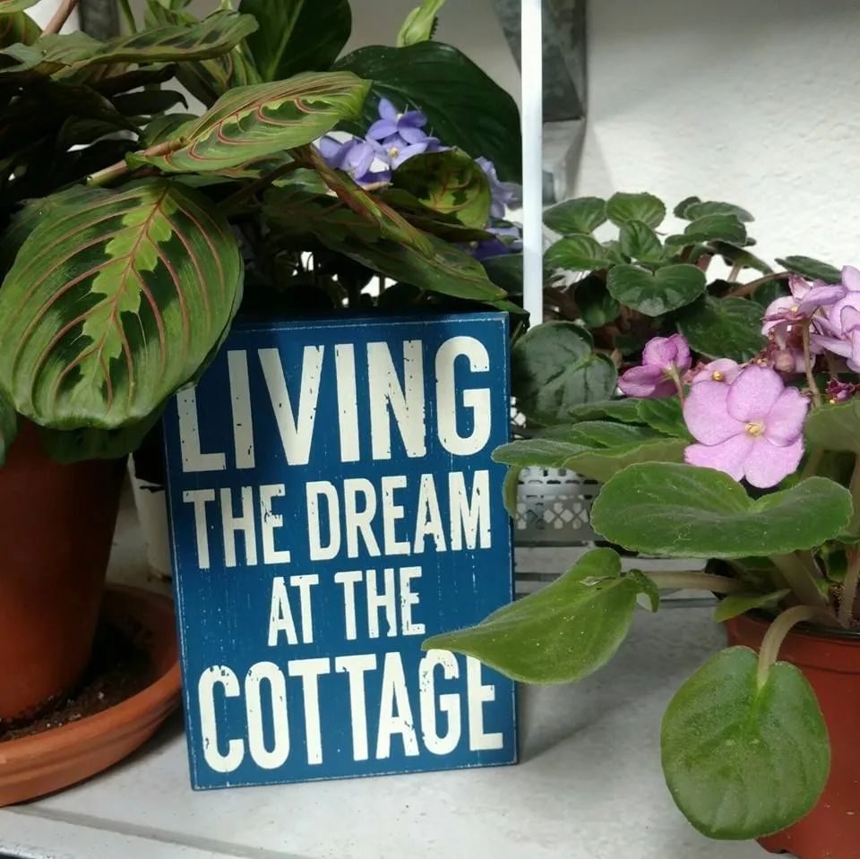 Thecottageflowersandgifts
