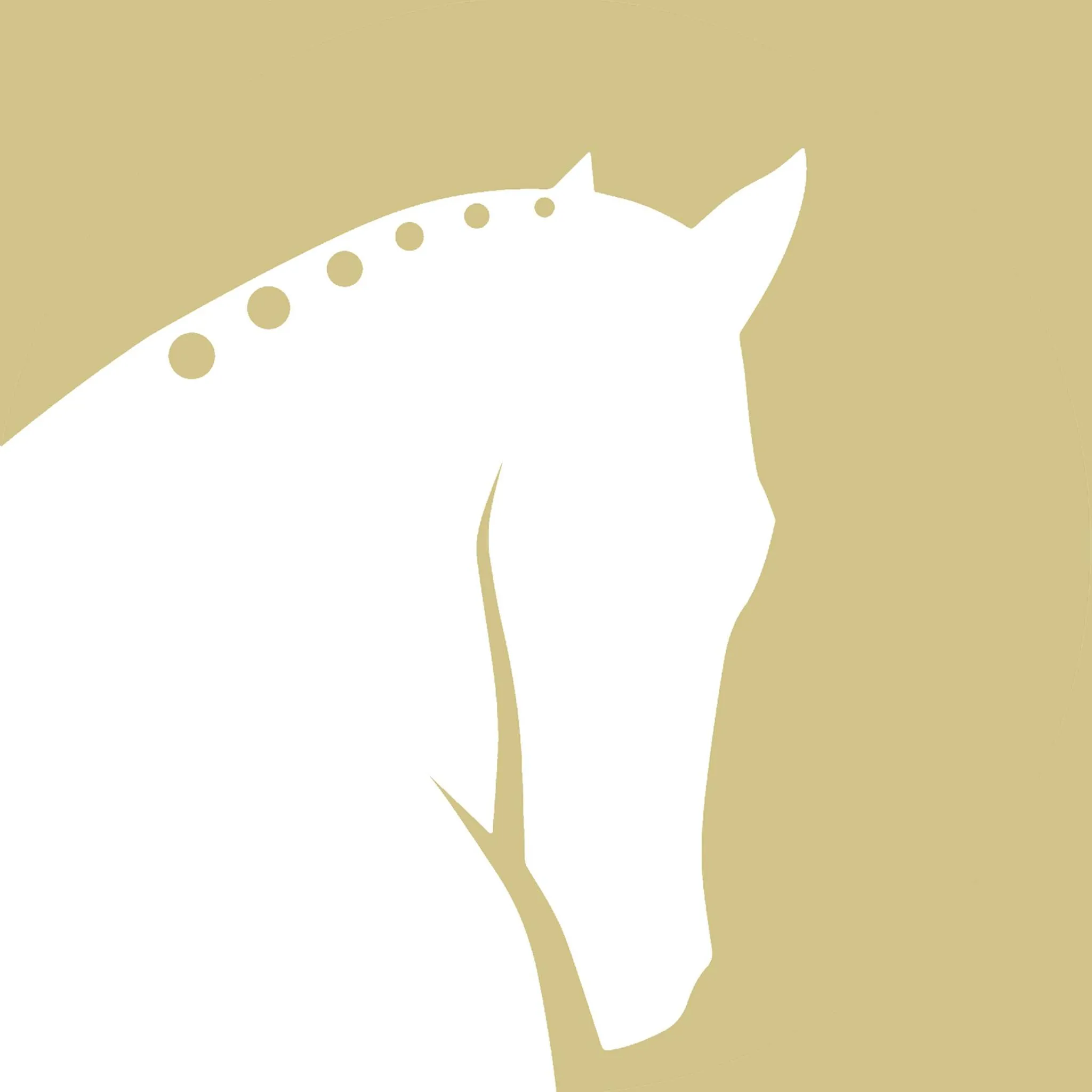 Thedressageponystore