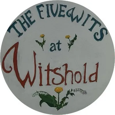 Five Wits
