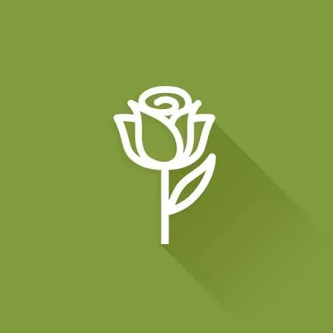 Thefloristsupplyshop