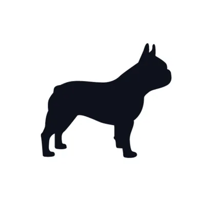 The Frenchie Co logo